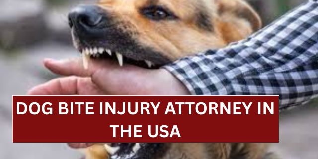 Dog Bite Injury Attorney in the USA