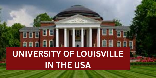 University of Louisville in the USA
